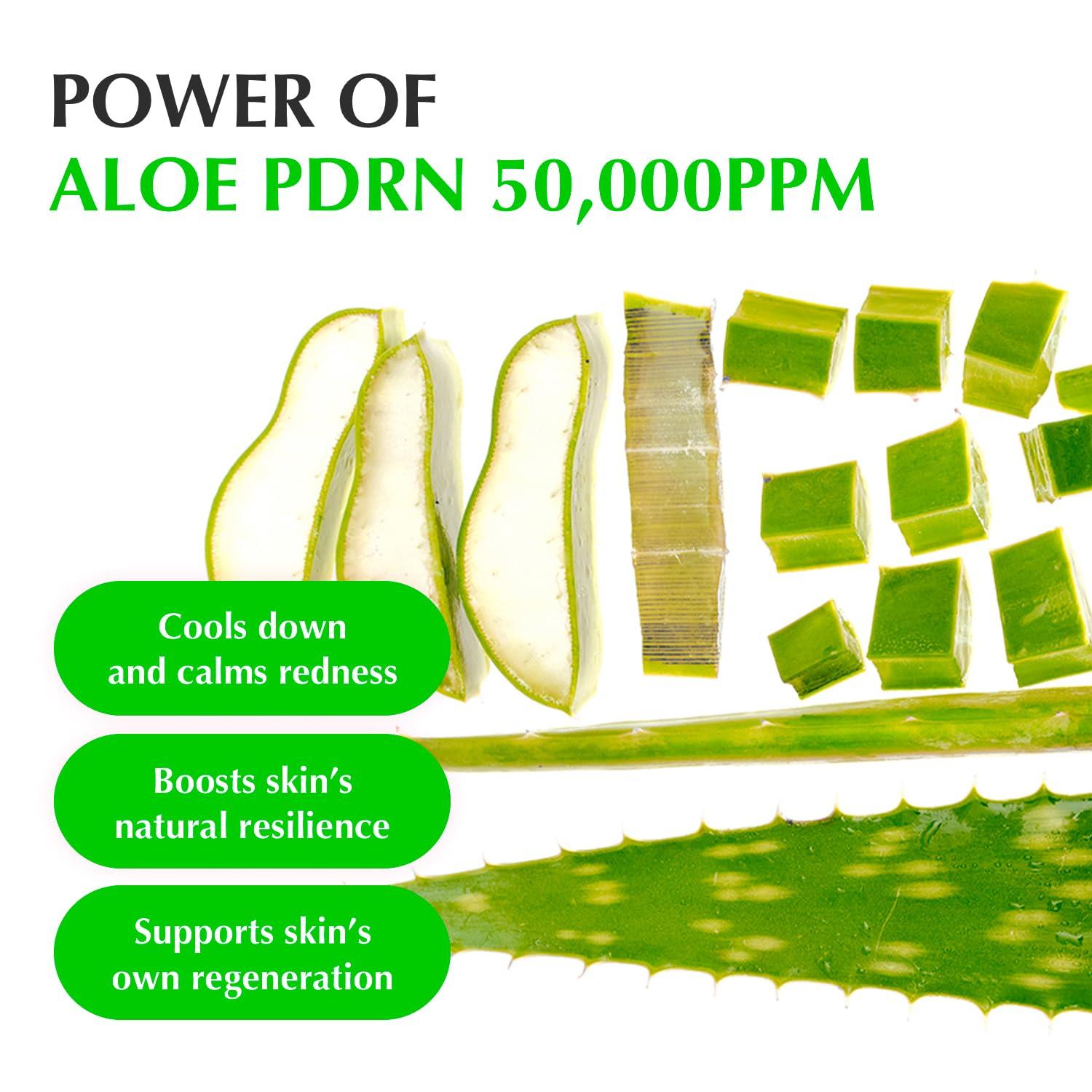 EQQUALBERRY ALOE PDRN CALMING SERUM 30ml/ALOEPDRN 5
